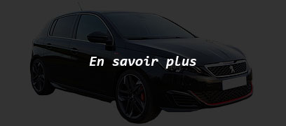 308 GTI Peugeot by Sport