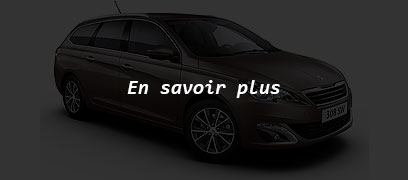 308 SW en savoir plus